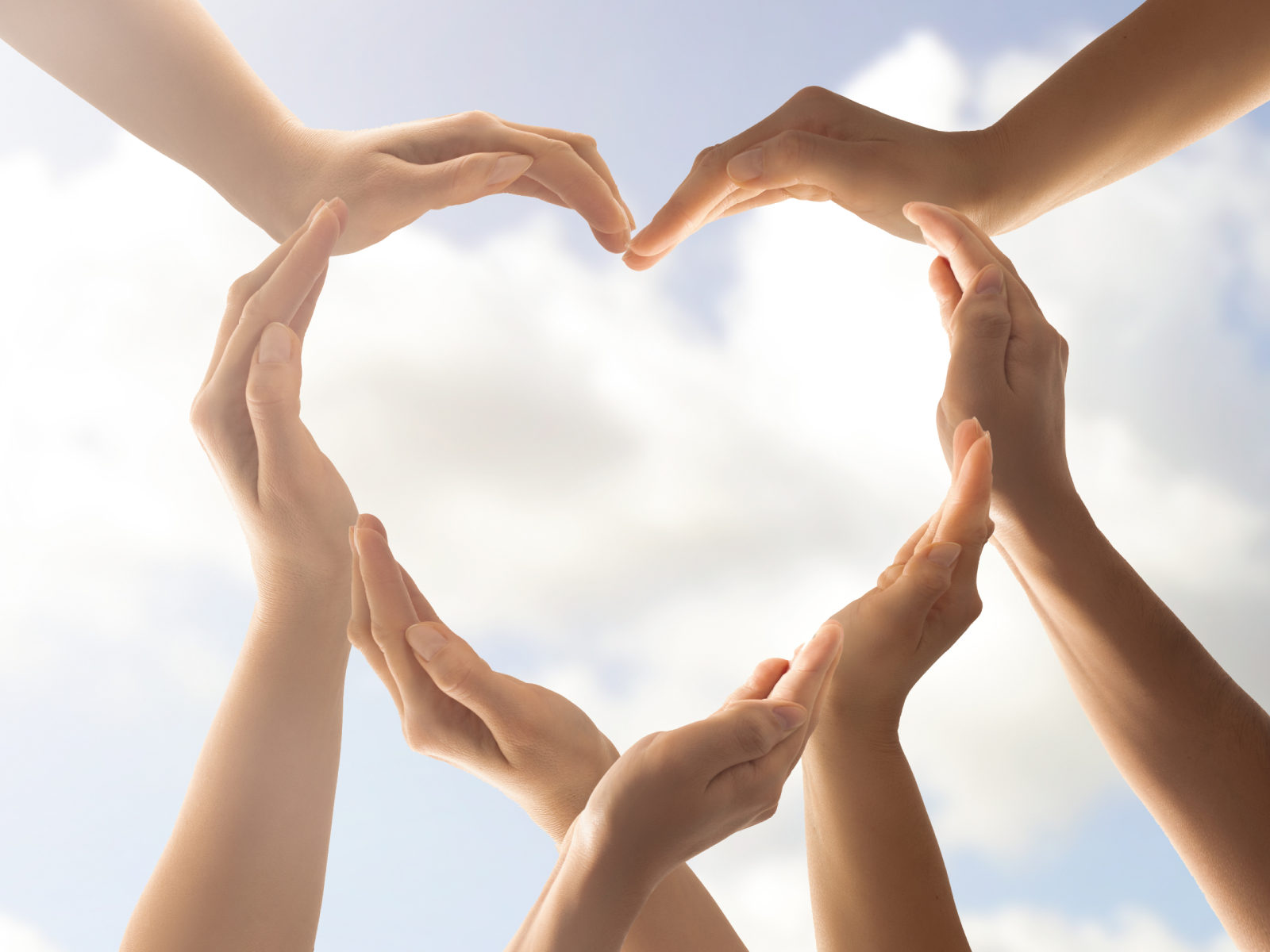 Цветок на руку. Заботливые руки. Любовь к природе. Give background. Любовь к природе.