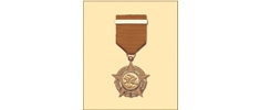 「銅紫荊星章」勳銜（由香港特別行政區政府頒發）