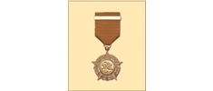 Bronze Bauhinia Star (Awarded by the HKSAR Government)